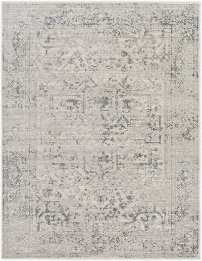 Surya Azhar AZR-2302 Pewter Area Rug by LIVABLISS