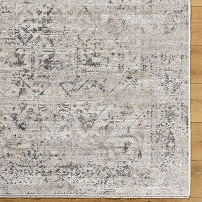 Surya Azhar AZR-2302 Pewter Area Rug by LIVABLISS
