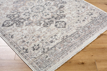 Surya Azhar AZR-2303 Ivory Area Rug by LIVABLISS
