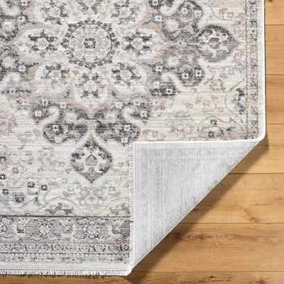 Surya Azhar AZR-2303 Ivory Area Rug by LIVABLISS
