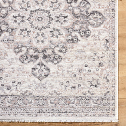 Surya Azhar AZR-2303 Ivory Area Rug by LIVABLISS