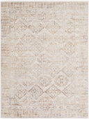 Surya Azhar AZR-2304 Ivory Area Rug by LIVABLISS