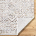 Surya Azhar AZR-2304 Ivory Area Rug by LIVABLISS