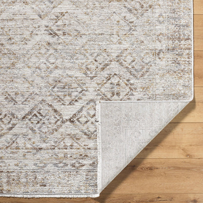 Surya Azhar AZR-2304 Ivory Area Rug by LIVABLISS