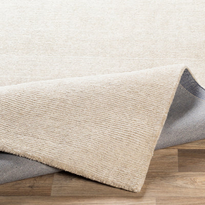 Bari BAR-2300 Ivory Area Rug by LIVABLISS