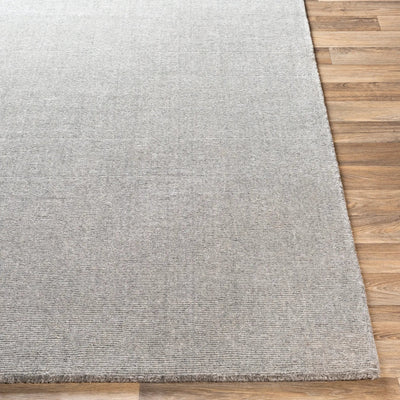 Bari BAR-2304 Gray Area Rug by LIVABLISS