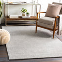 LIVABLISS Bari BAR-2304 Gray Area Rug