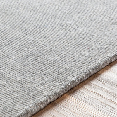 Bari BAR-2304 Gray Area Rug by LIVABLISS