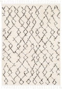 Surya Berber Shag BBE-2301 Beige Area Rug by LIVABLISS