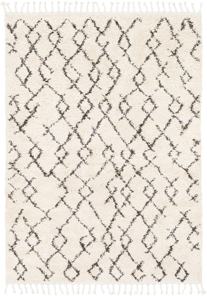 Surya Berber Shag BBE-2301 Beige Area Rug by LIVABLISS