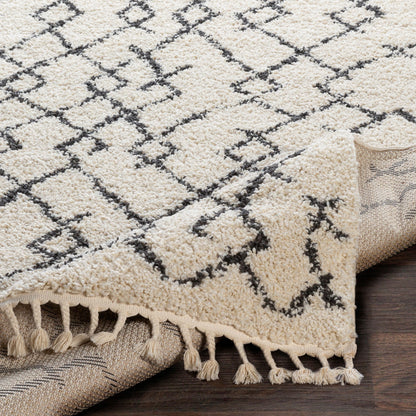Surya Berber Shag BBE-2301 Beige Area Rug by LIVABLISS