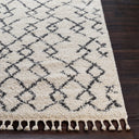 Surya Berber Shag BBE-2301 Beige Area Rug by LIVABLISS