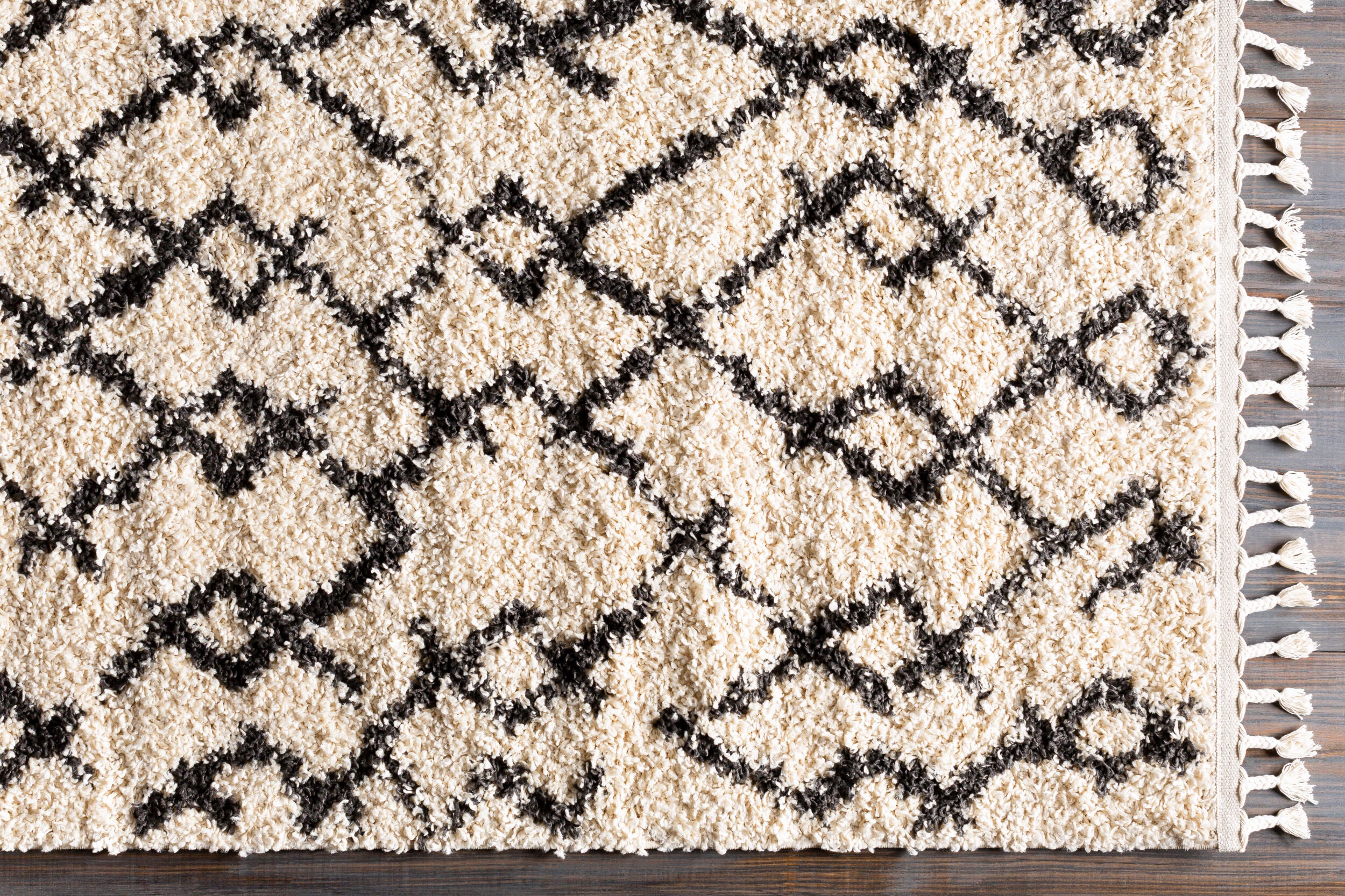 Surya Berber Shag BBE-2301 Beige Area Rug by LIVABLISS