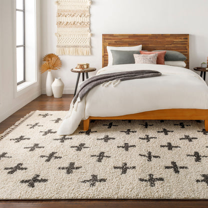 Surya Berber Shag BBE-2310 White Area Rug by LIVABLISS