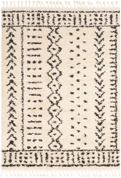 Surya Berber Shag BBE-2311 Black Area Rug by LIVABLISS
