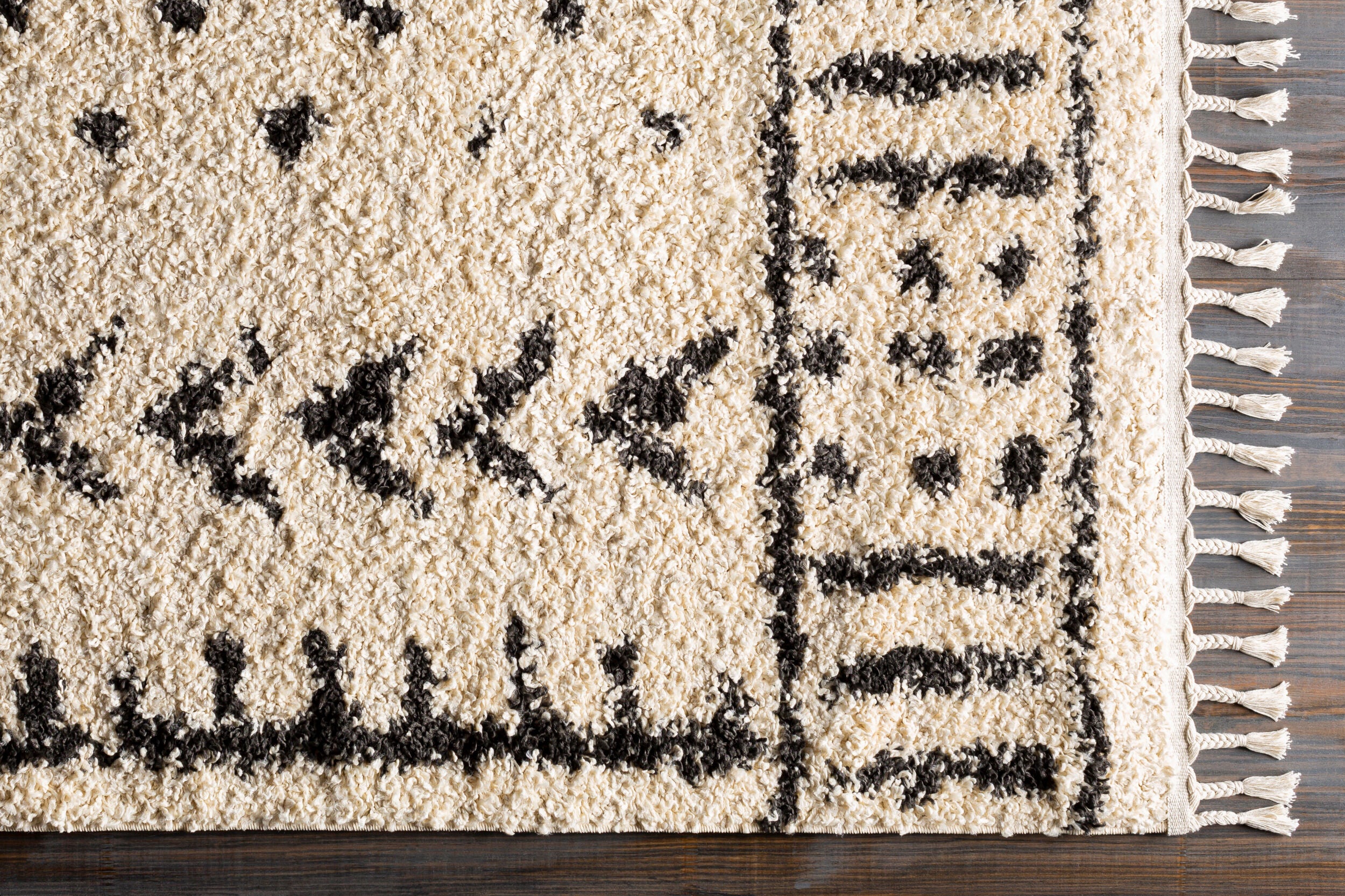 Surya Berber Shag BBE-2311 Black Area Rug by LIVABLISS