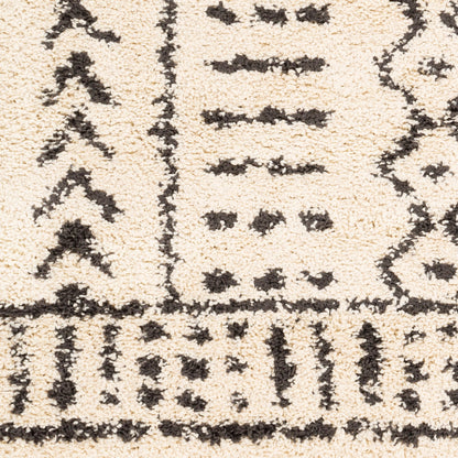 Surya Berber Shag BBE-2311 Black Area Rug by LIVABLISS