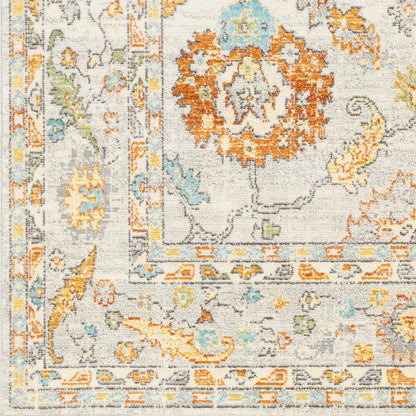 Surya Bodrum BDM-2311 Beige Area Rug by LIVABLISS