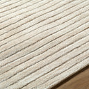 Benchcraft BEC-2303 Beige Area Rug