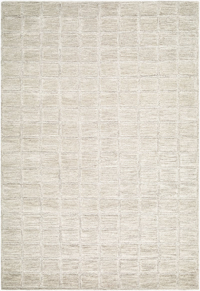 Benchcraft BEC-2305 Light Taupe Area Rug