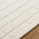 Benchcraft BEC-2305 Light Taupe Area Rug