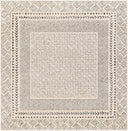 Surya Bahar BHR-2321 Beige Area Rug by LIVABLISS