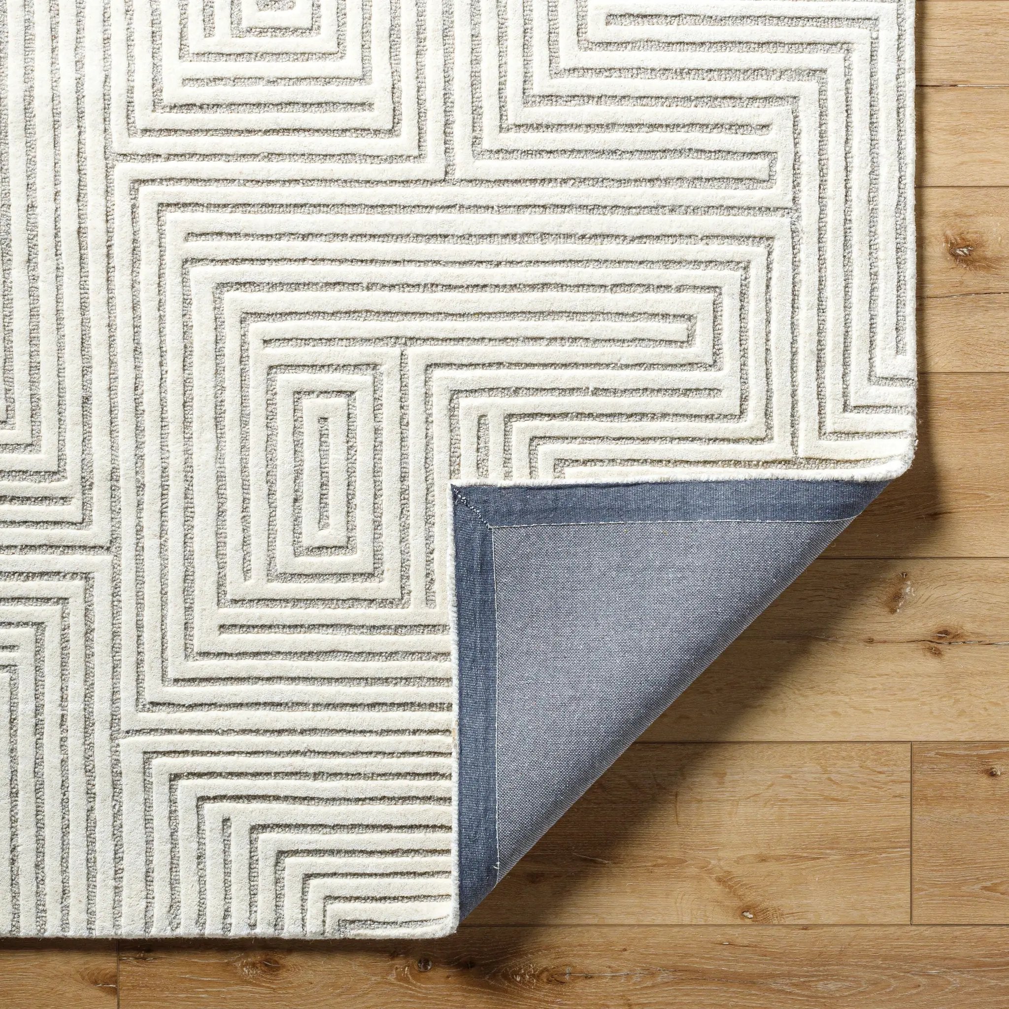Brook BKO-2320 Ivory Area Rug by LIVABLISS