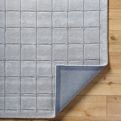 Brook BKO-2331 Gray Area Rug by LIVABLISS