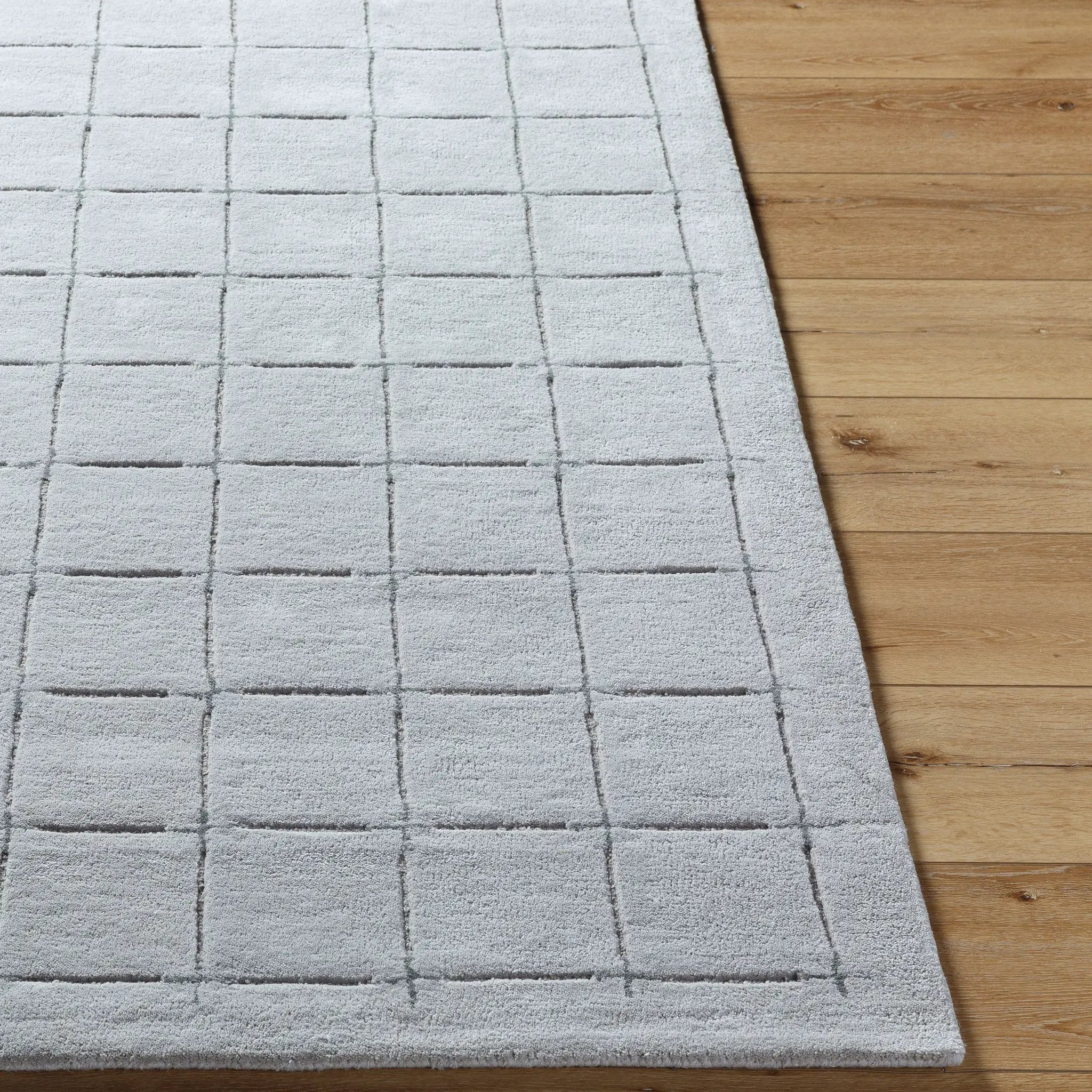 Brook BKO-2331 Gray Area Rug by LIVABLISS
