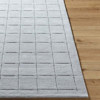 Brook BKO-2331 Gray Area Rug by LIVABLISS