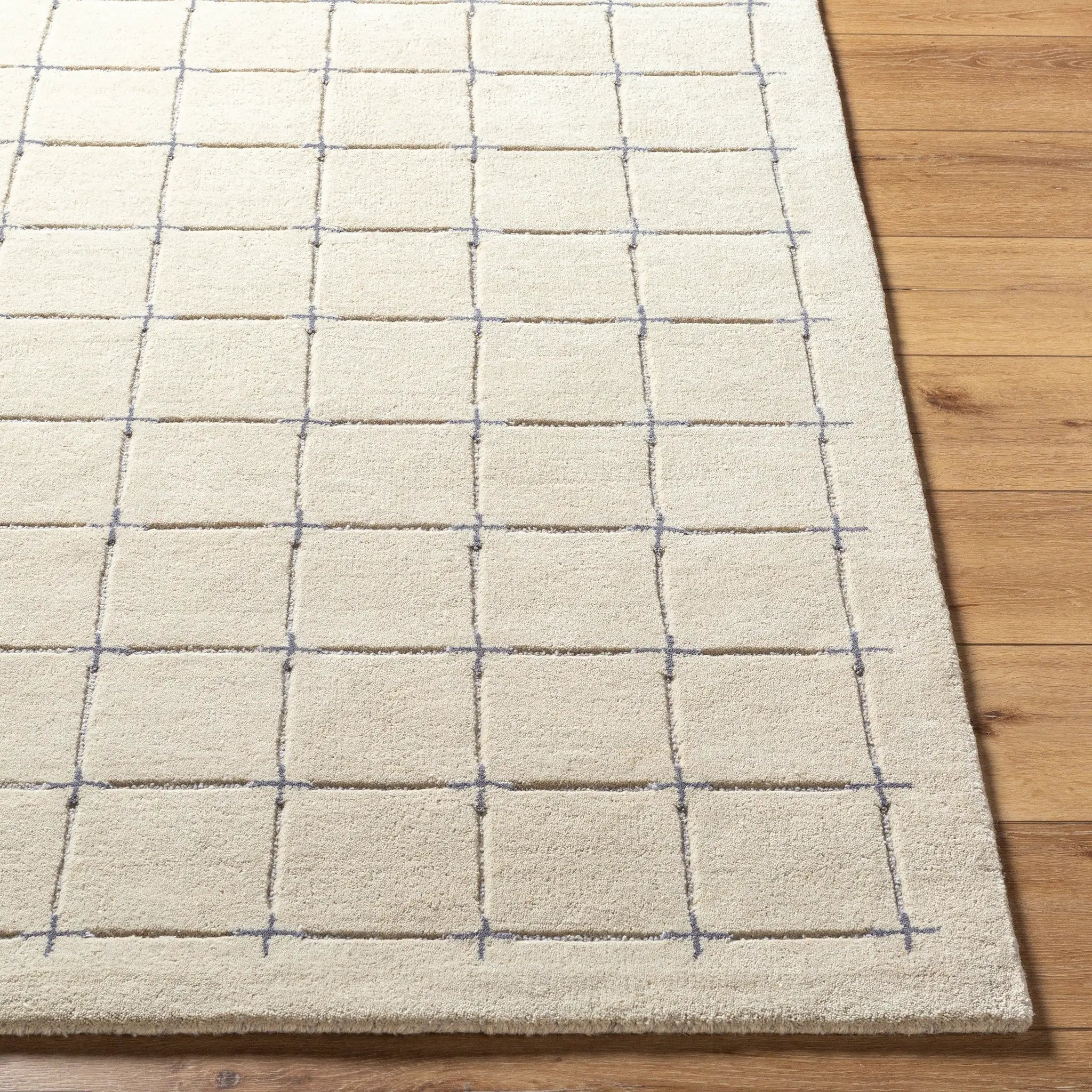 Brook BKO-2332 Tan Area Rug by LIVABLISS