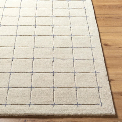 Brook BKO-2332 Tan Area Rug by LIVABLISS