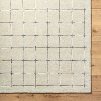 Brook BKO-2332 Tan Area Rug by LIVABLISS