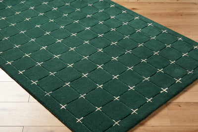Brook BKO-2333 Dark-Green Area Rug by LIVABLISS