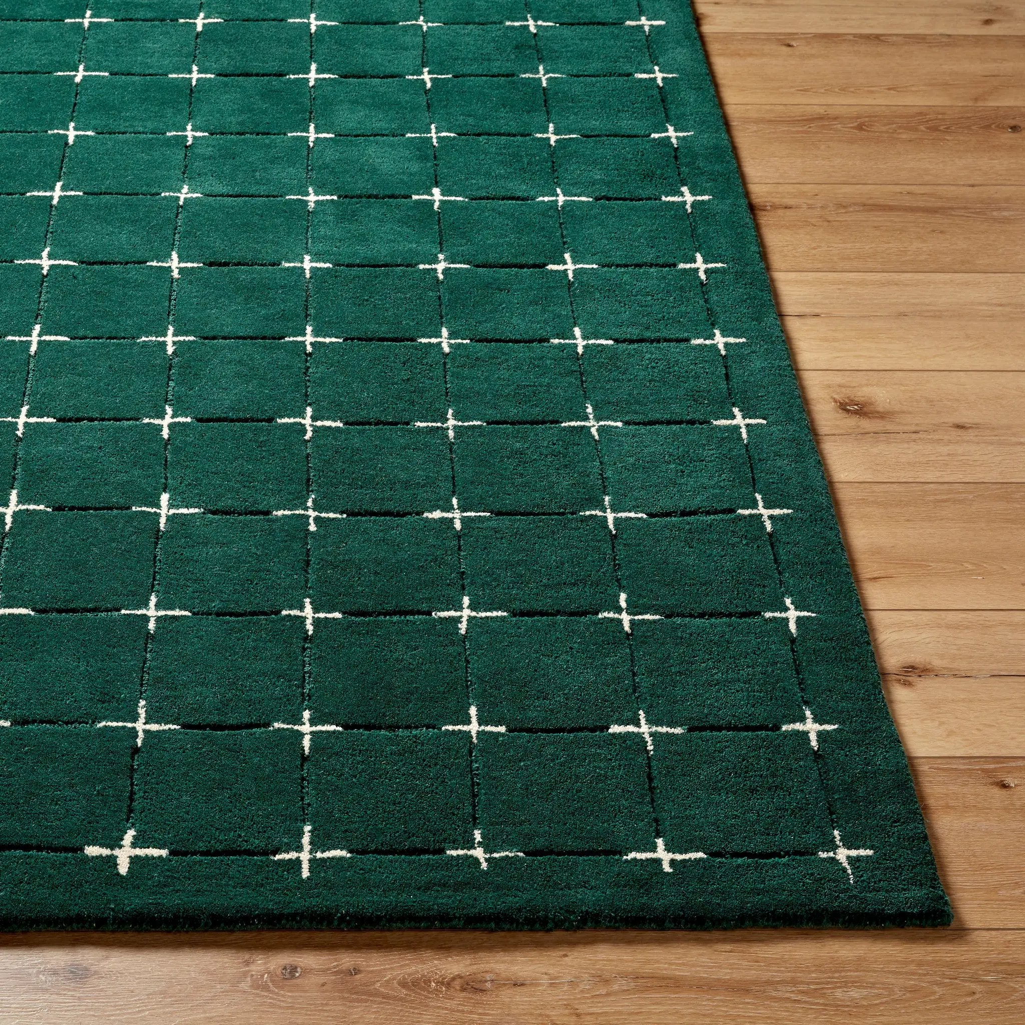 Brook BKO-2333 Dark-Green Area Rug by LIVABLISS