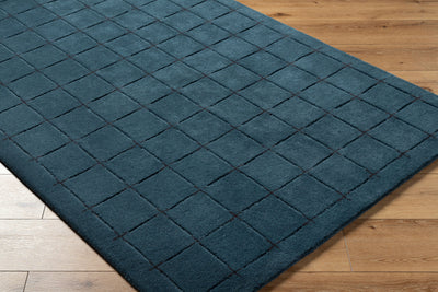 Brook BKO-2336 Dark-Blue Area Rug by LIVABLISS