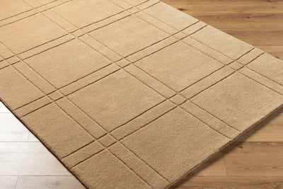 Brook BKO-2357 Tan Area Rug by LIVABLISS