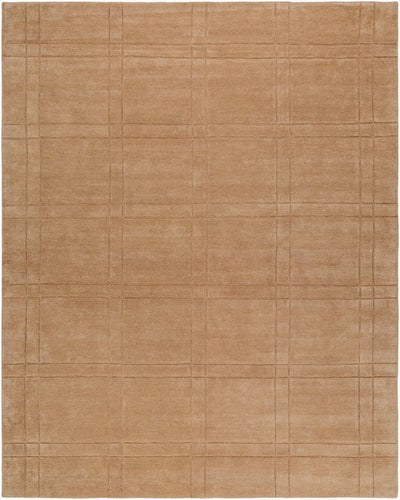Brook BKO-2357 Tan Area Rug by LIVABLISS