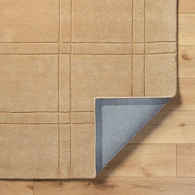Brook BKO-2357 Tan Area Rug by LIVABLISS