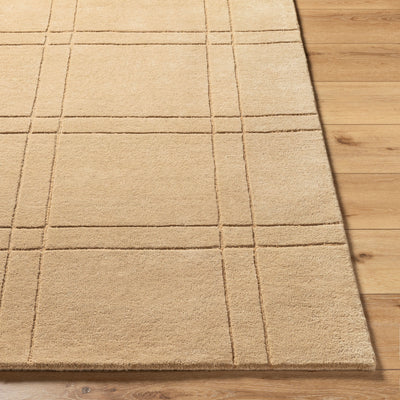 Brook BKO-2357 Tan Area Rug by LIVABLISS