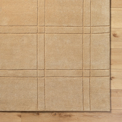Brook BKO-2357 Tan Area Rug by LIVABLISS