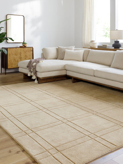Brook BKO-2357 Tan Area Rug by LIVABLISS