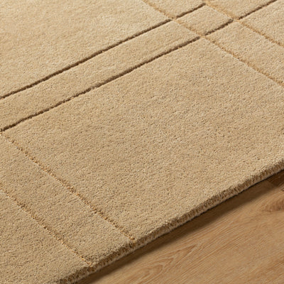 Brook BKO-2357 Tan Area Rug by LIVABLISS