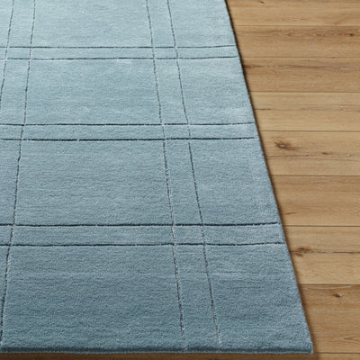 Brook BKO-2358 Light Charcoal Area Rug by LIVABLISS
