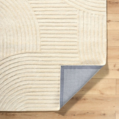 Brook BKO-2363 Ivory Area Rug by LIVABLISS