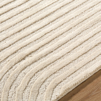 Brook BKO-2363 Ivory Area Rug by LIVABLISS
