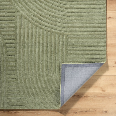 Brook BKO-2367 Sage Area Rug by LIVABLISS