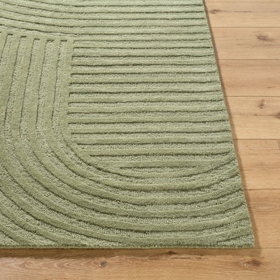 Brook BKO-2367 Sage Area Rug by LIVABLISS