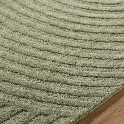 Brook BKO-2367 Sage Area Rug by LIVABLISS