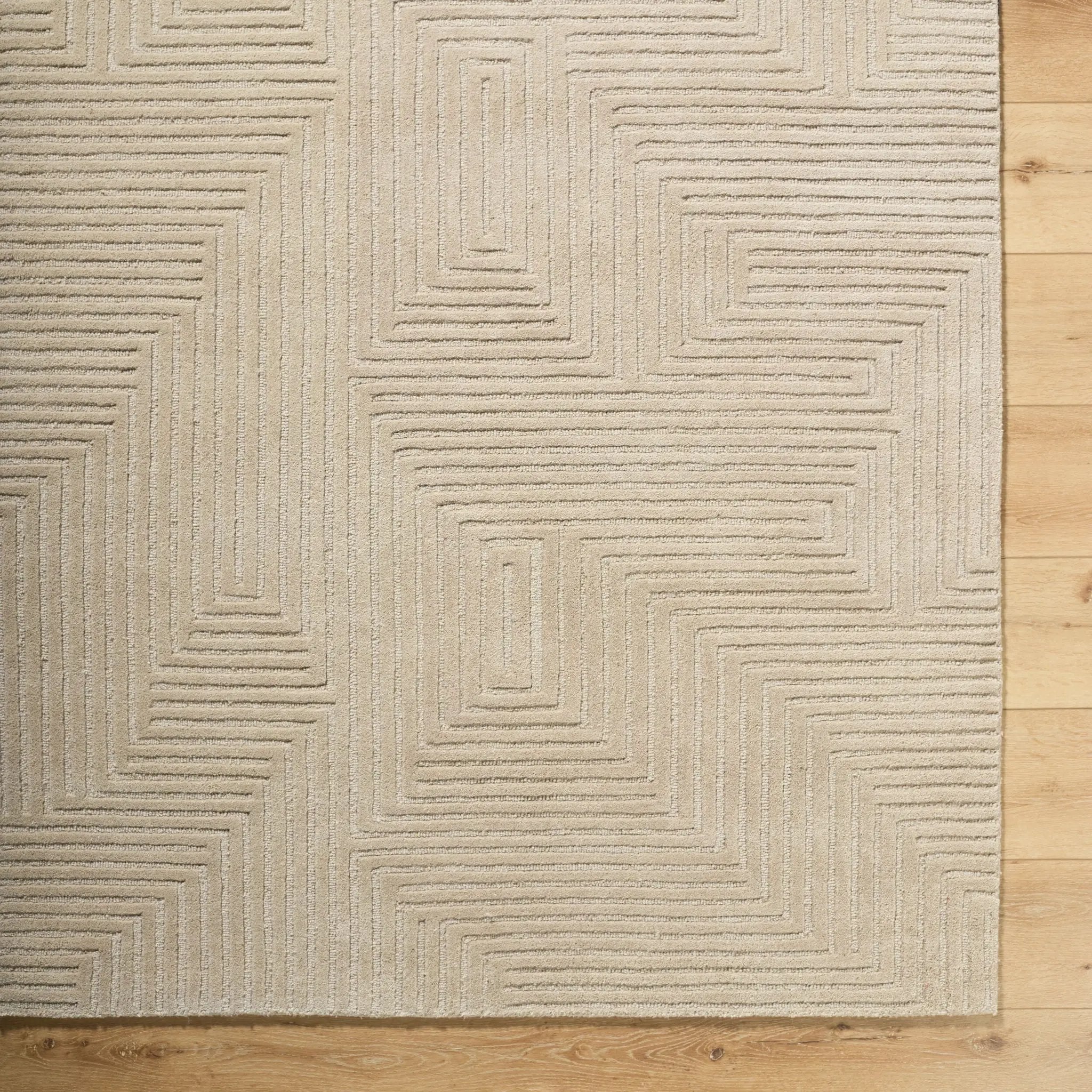 Brook BKO-2368 Sandstone Area Rug by LIVABLISS